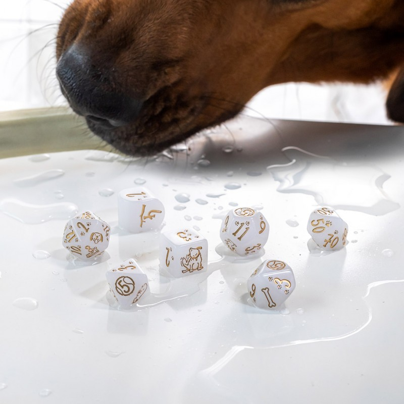 Q-Workshop Dogs Dice