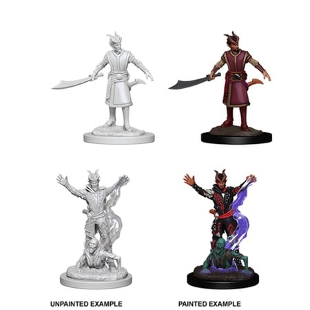 Dungeons and Dragons: Nolzur s Marvelous Unpainted Miniatures Male Tiefling Warlock