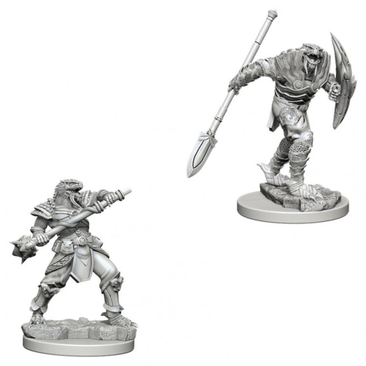 D&D NMU: Dragonborn Male Fight Spear W5