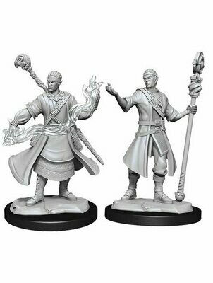 Dungeons & Dragons Nolzur's Marvelous Miniatures Half - Elf Male Wizard (Wave 14)
